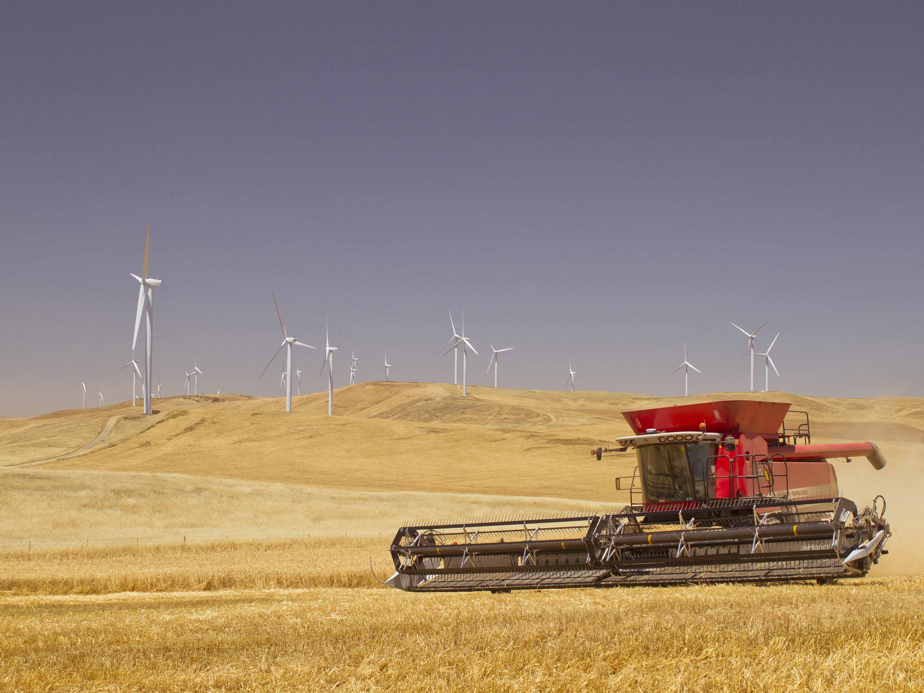 Hallet Wind Farm