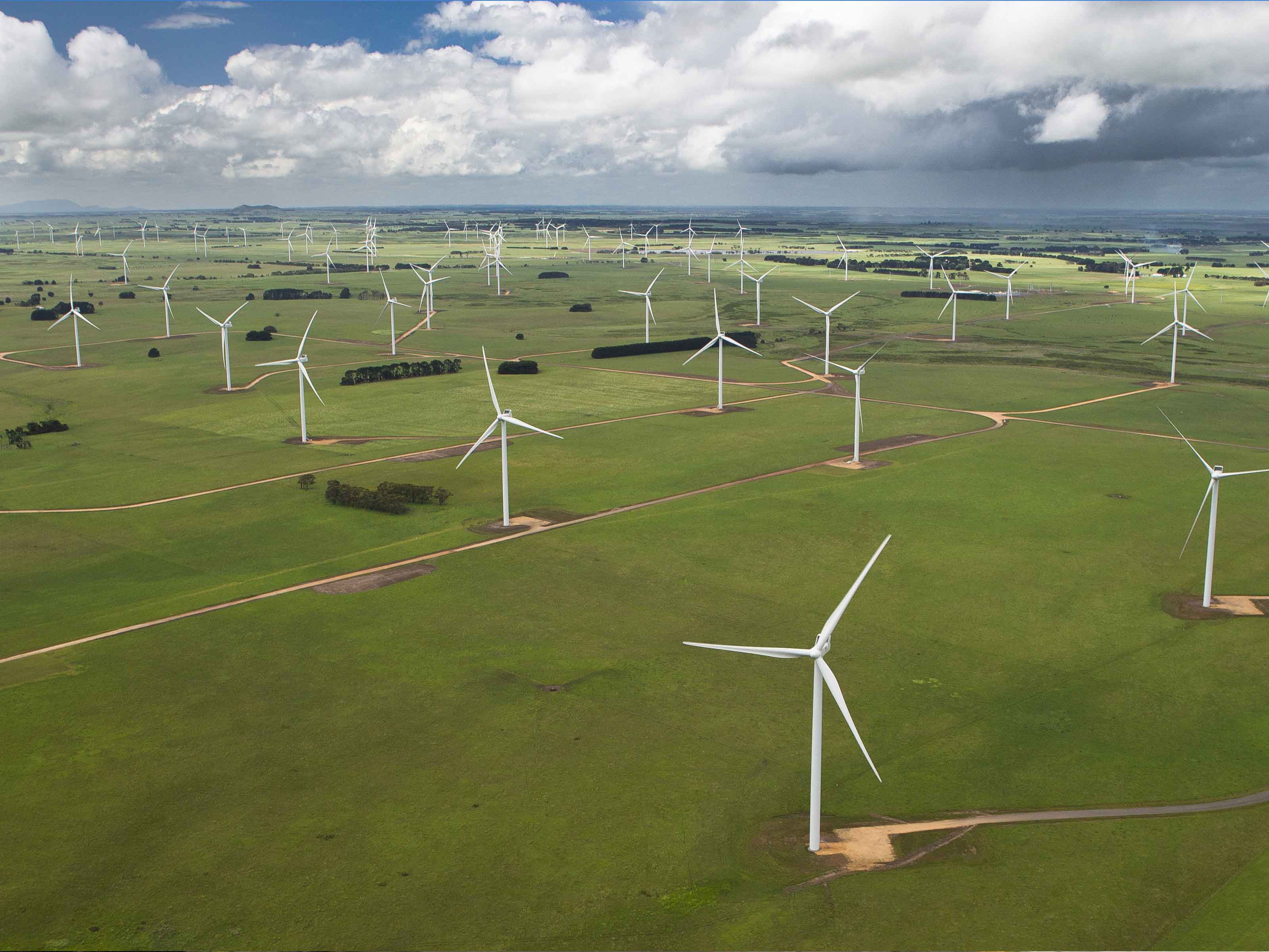 Aerial view of windfarm in a field