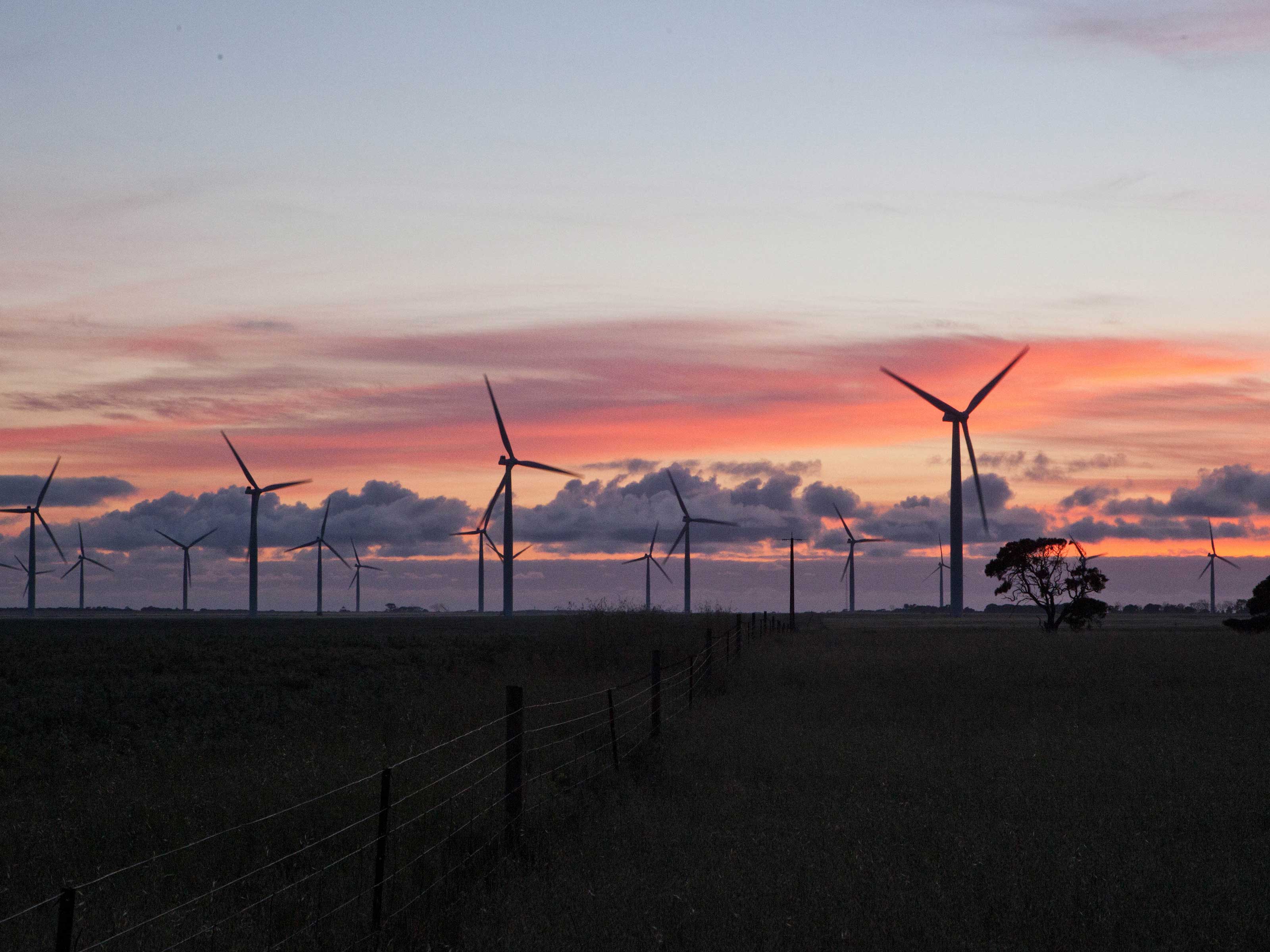 Sunset at Wattle Point Wind Farm with silhouetted wind turbines symbolizing renewable energy against a colorful sky.