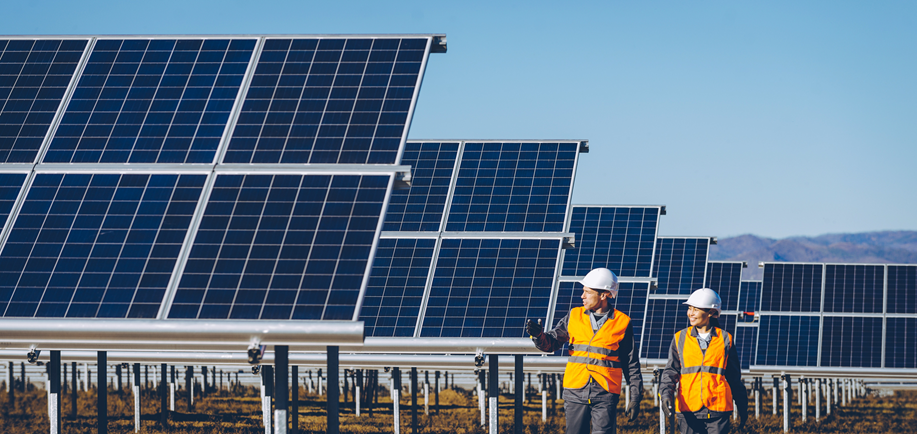 Two workers walkign past a series of solar panels