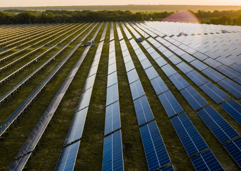 Solar panel farm in lush green area under the sun set